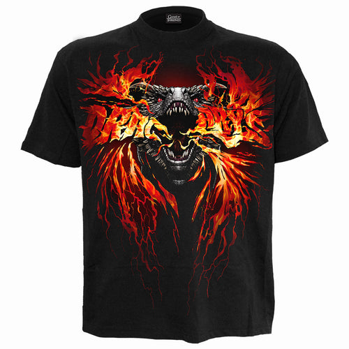 GOT - FIRE AND BLOOD - T-Shirt Black